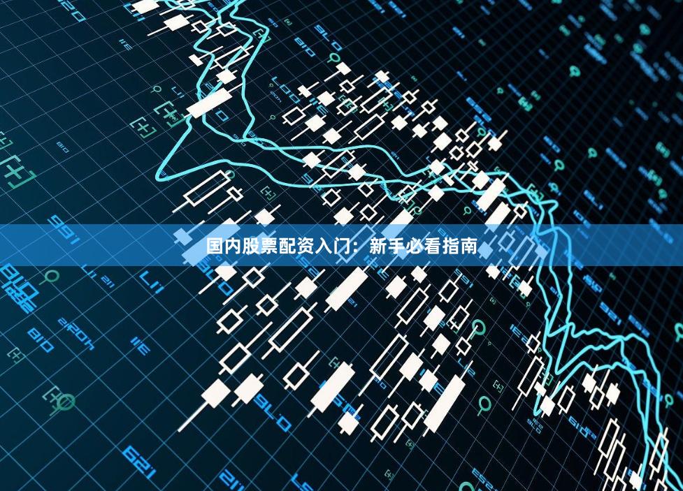 国内股票配资入门：新手必看指南