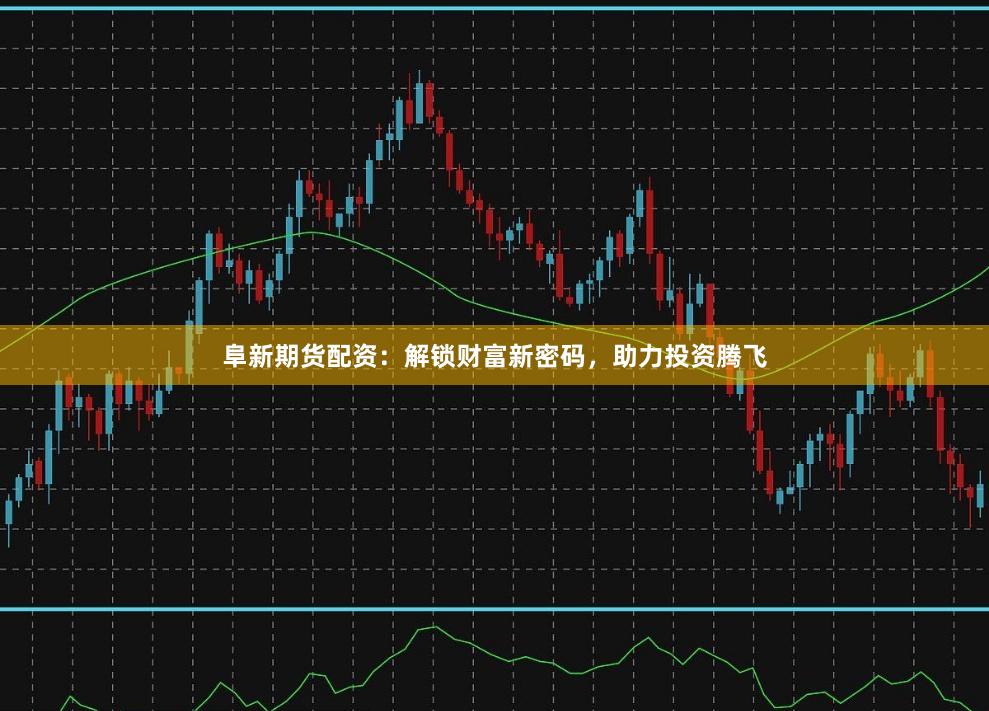 阜新期货配资：解锁财富新密码，助力投资腾飞