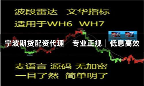 宁波期货配资代理│专业正规│低息高效
