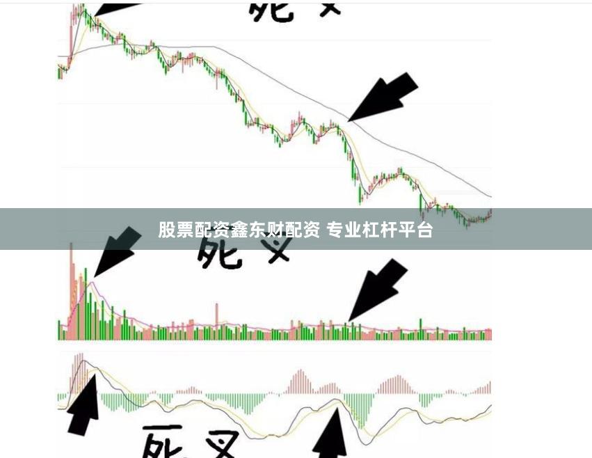 股票配资鑫东财配资 专业杠杆平台