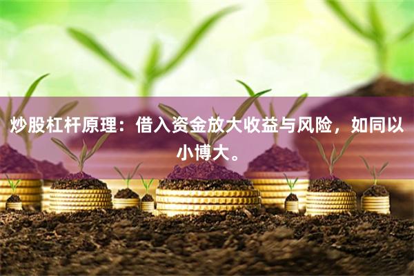 炒股杠杆原理：借入资金放大收益与风险，如同以小博大。